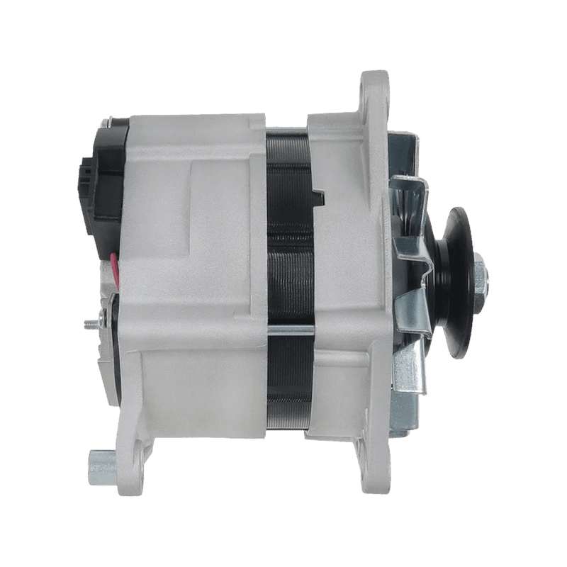 MG348, 3661191M91, 3698016M91 AUSTIN MAESTRO Fastback(XC), FORD GRANADA Turnier(GNU), LANDINI REX용 12V, 65A, 1PK, 65mm ISKRA/LETRIKA 발전기